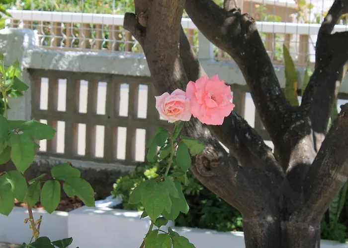 度假居 Casa Do Limoeiro *