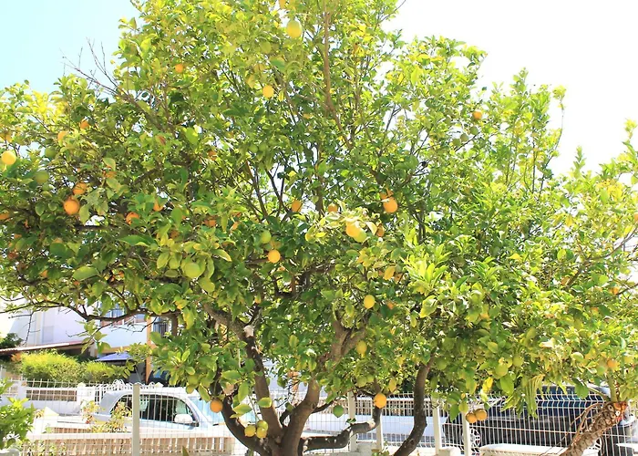 Casa de Férias Casa Do Limoeiro Albufeira
